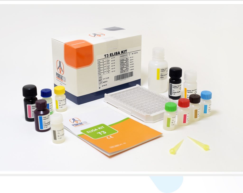 Free T3 – Pishtazteb Diagnostics